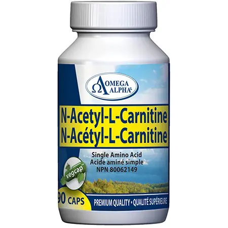 N Acetyl L Carnitine